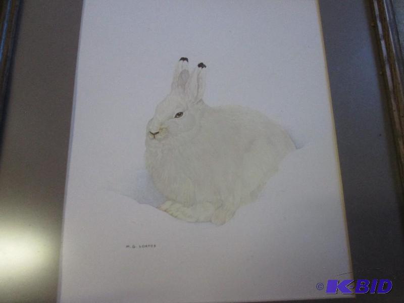 lot 9 image: 18in x 16in wooden framed picture of artic ra...