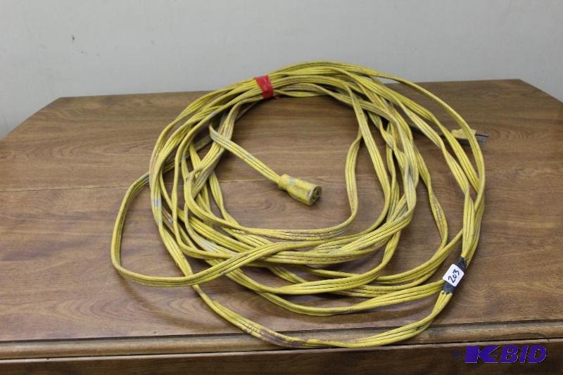 lot 203 image: &nbspExtension Cord...
