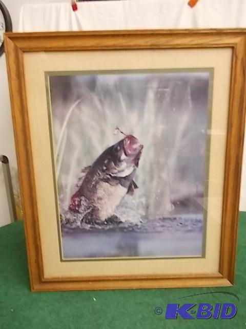 Bass Print &nbsp23 x 27...