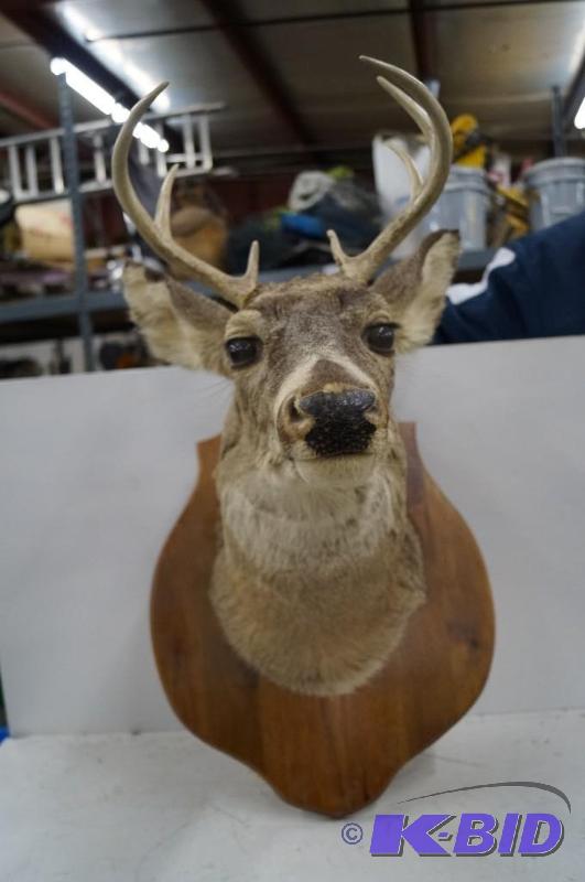 deer head