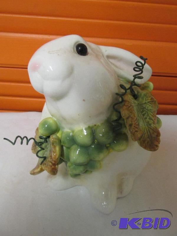 Cute Little Bunny
