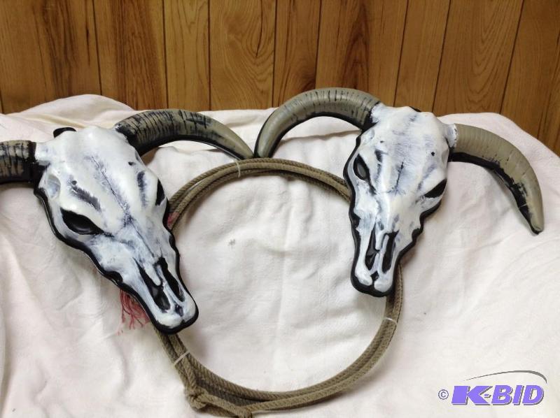 Lasso and Cow Decor