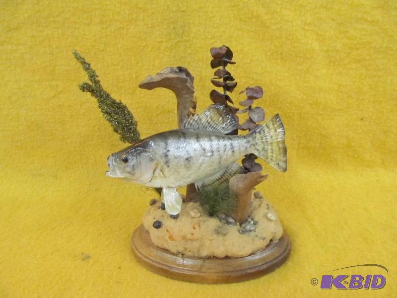 lot 2 image: Fish