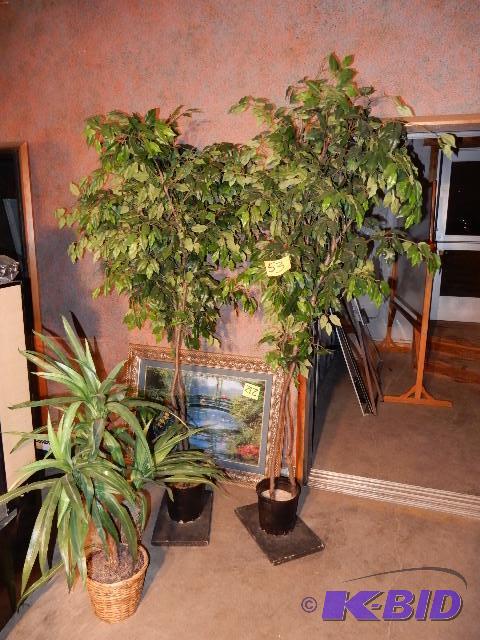 lot 53 image: Artificial Plants