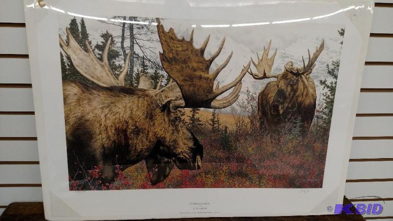 Elk Print