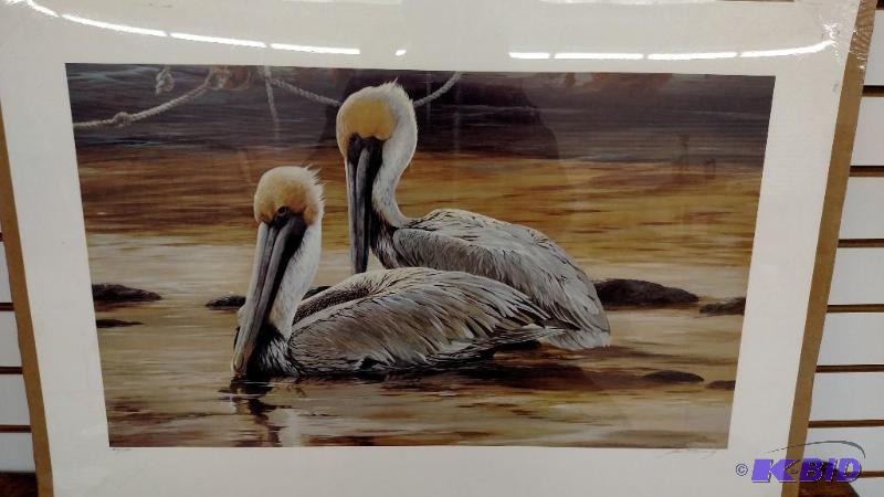 Pelicans