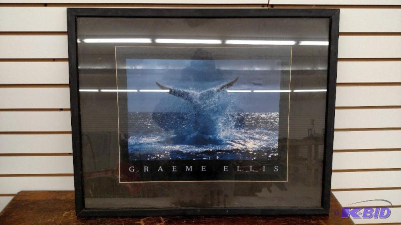 Whale Print