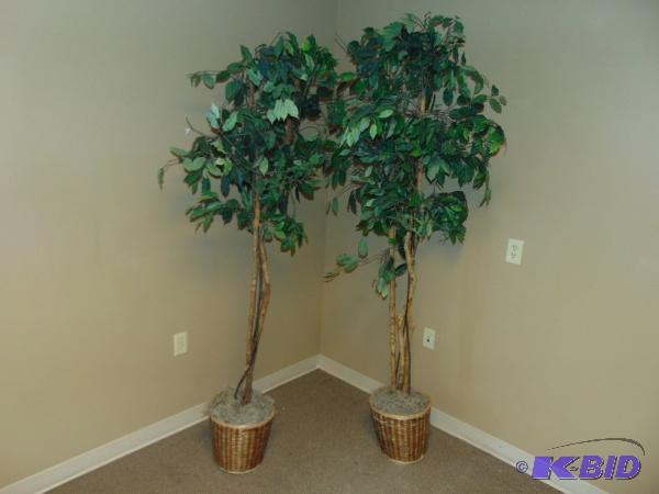 (2) Plant Decorations...