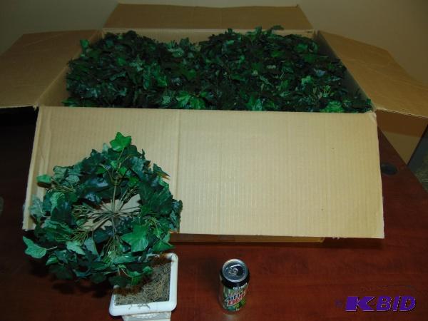 Around (30) Plant Decorative Pieces...