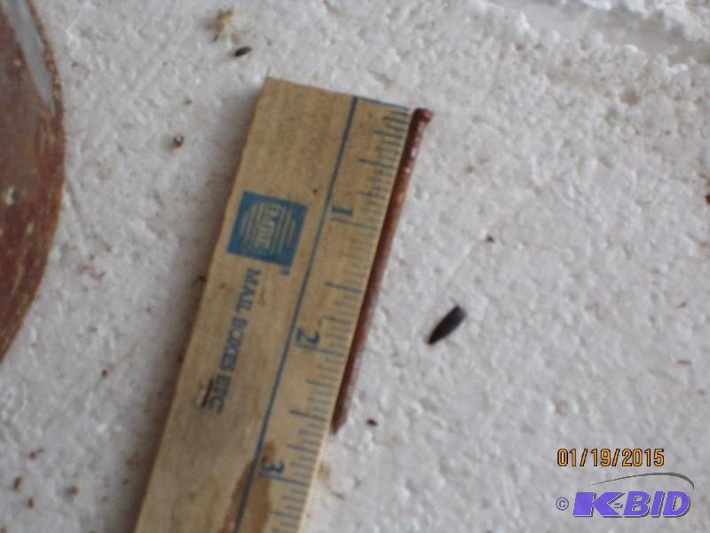 Can of nails