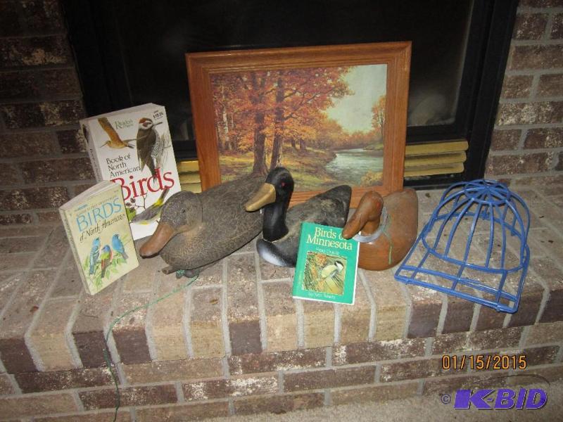 Bird books, ducks