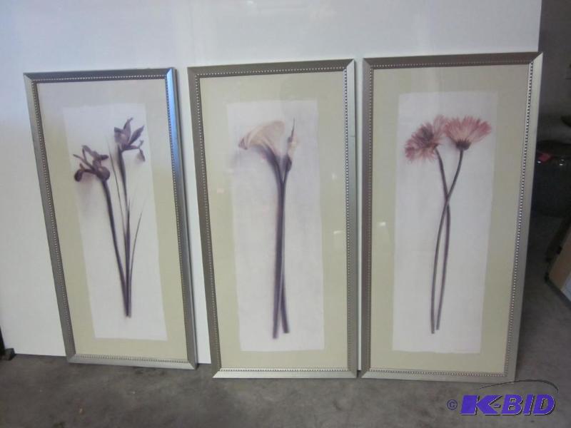 lot 129 image: Lot of (3) 30 inch tall framed flower prints,...