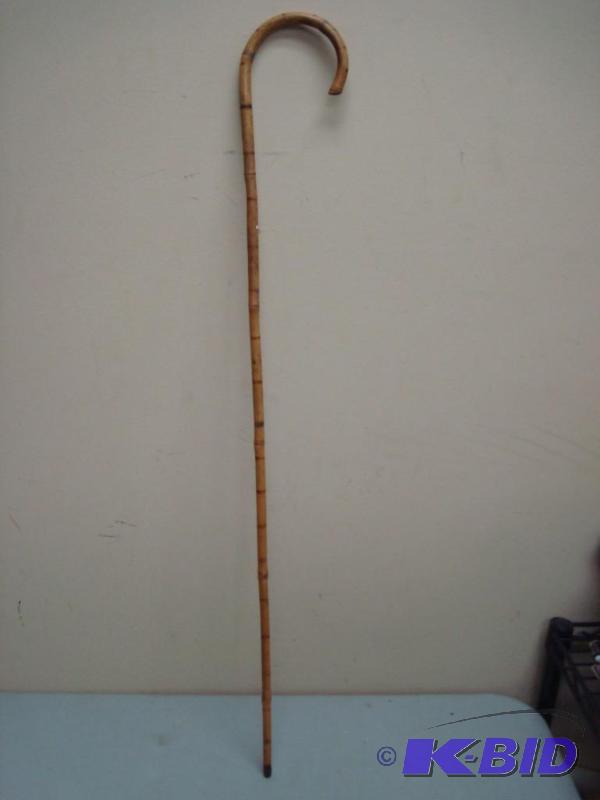 Cane, Looks Like Bamboo...