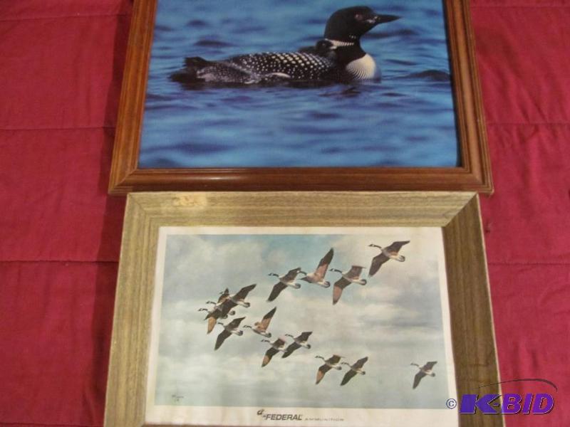 Pictures