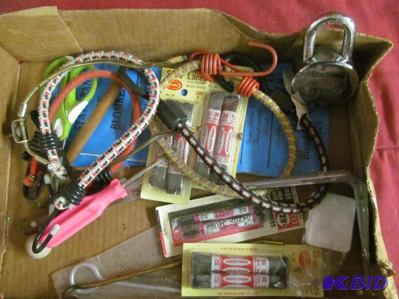 Bungee Cords