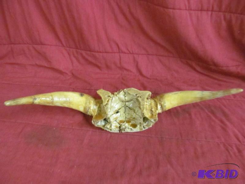 Horns