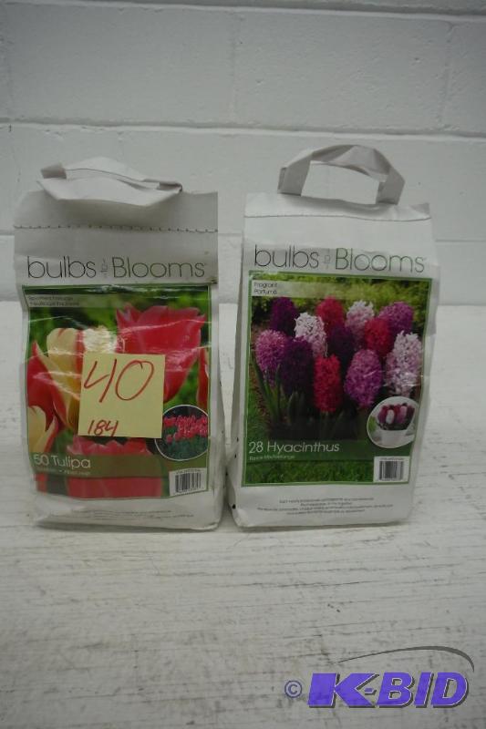 2 Bags of Flower Bulbs