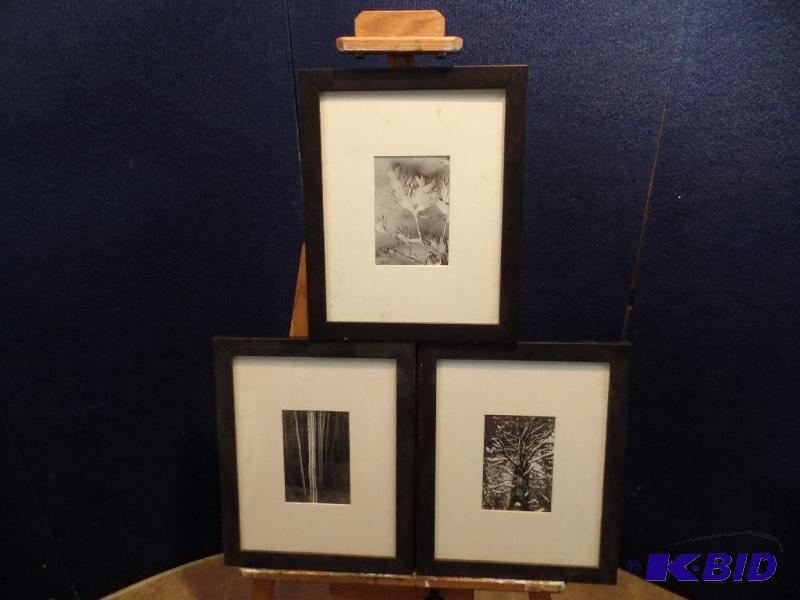 Framed Art