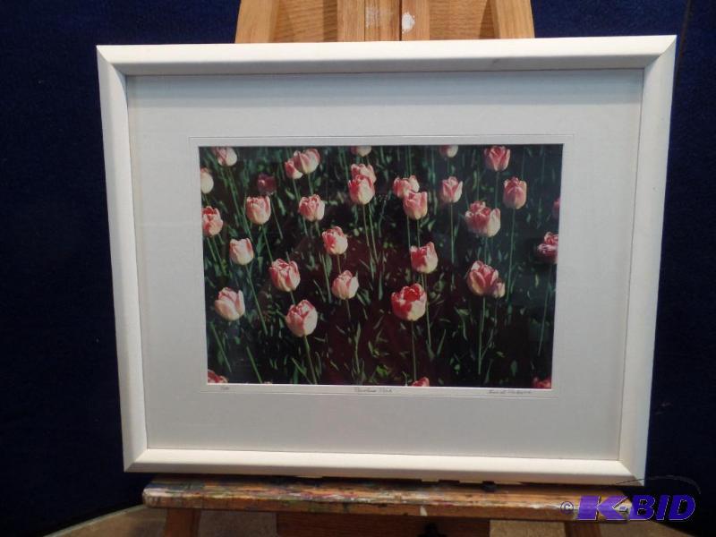 Framed Photography