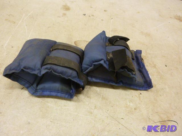 lot 196 image: Pair of Ankle Weights...