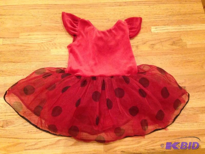 Ladybug Dress Up