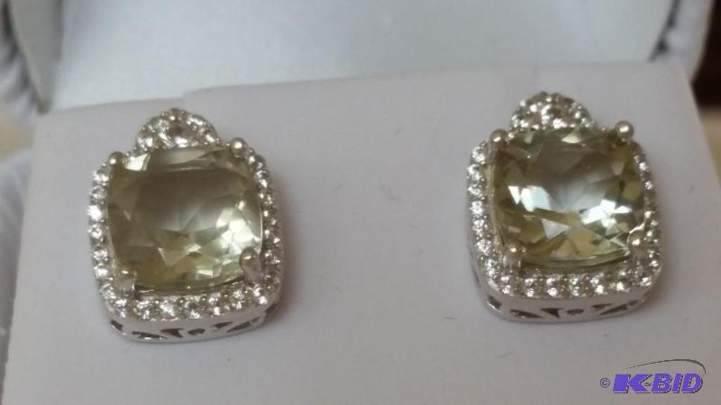 Gorgeous Earrings