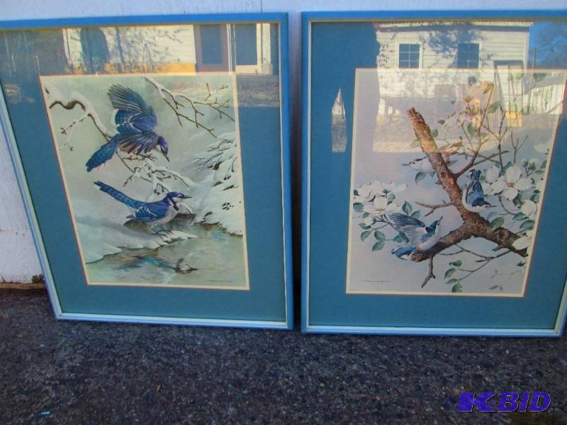 Pair of framed and matted blue bird prints, 5...
