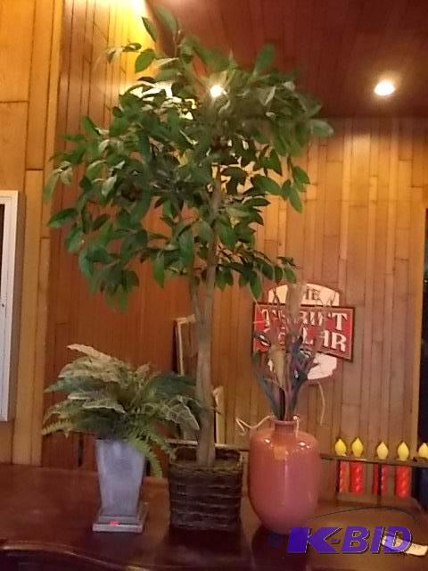 1-Tree, 2-Vases