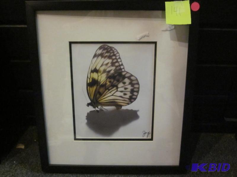 Small, up to 20 inch, signed framed print.&nb...