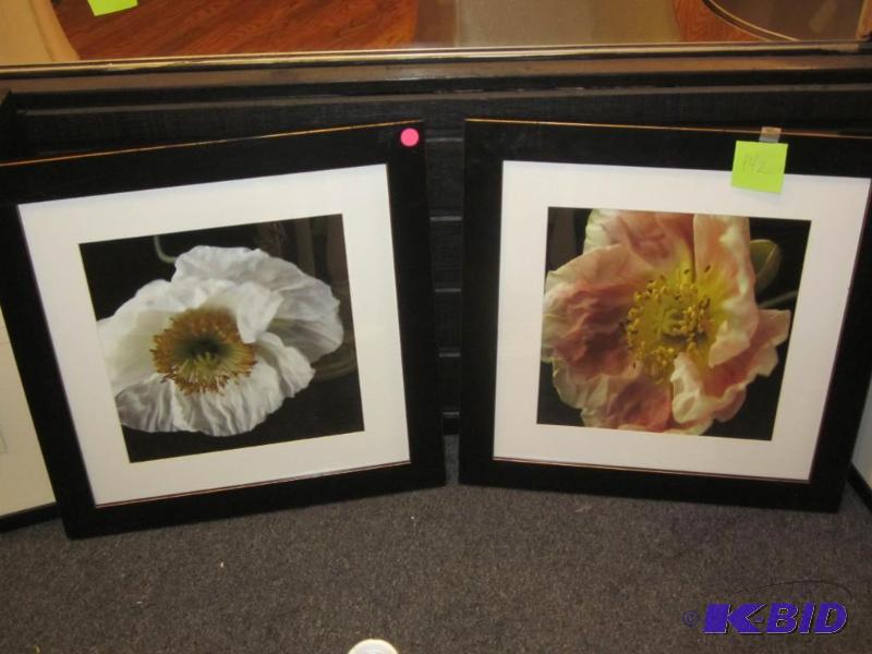 Pair of 20 inch framed prints.&nbsp  &nbsp ...