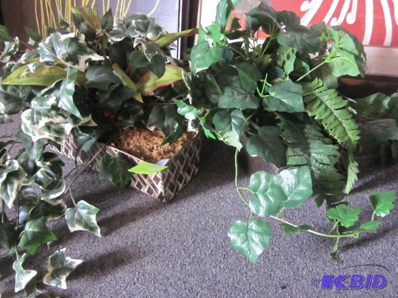 Lot of artificial plants.  &nbsp  &nbsp...