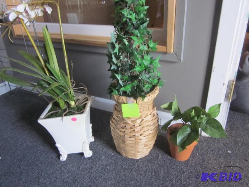 Lot of (3) artificial plants.  &nbsp  &nbsp...