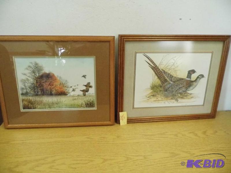 Pheasant Pictures