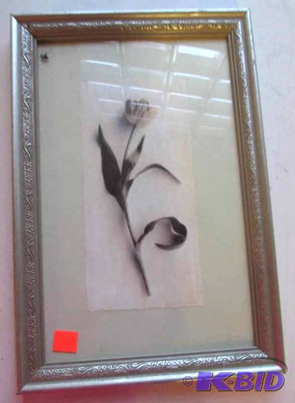 lot 254 image: 12 x 8 sliver frame with picture of a tulip...