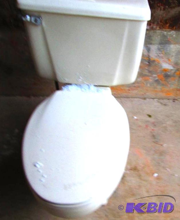 Crane toilet with seat and flushing mechanism...