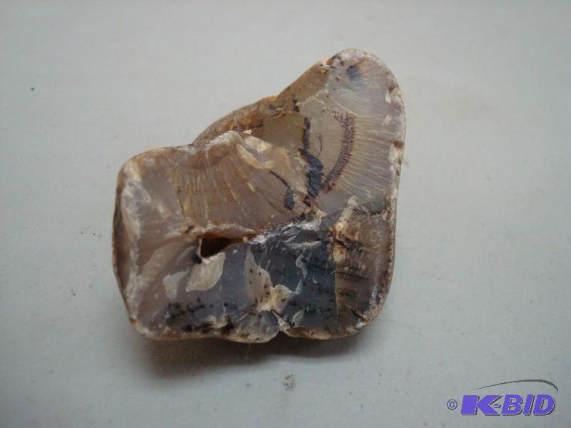 Large Montana Agate, Around 1.3 Pounds...