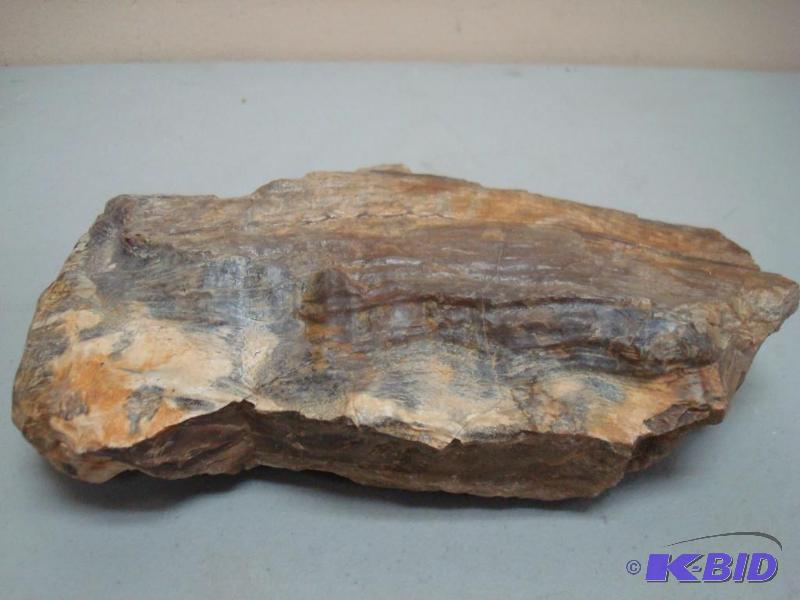 Petrified Wood, Around 3.8 Pounds...
