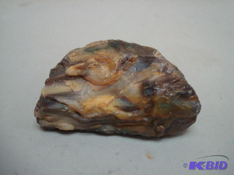 Petrified Wood, Around 1 Pounds...