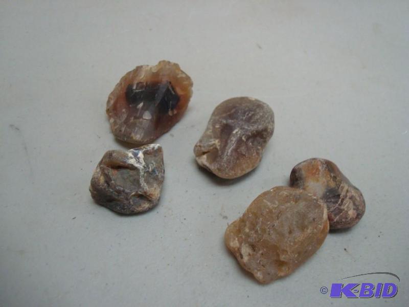 Lot Of Agates, Look Montana...