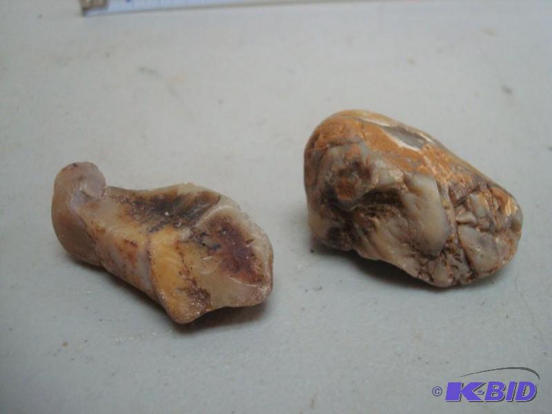 Pair Of Agates...