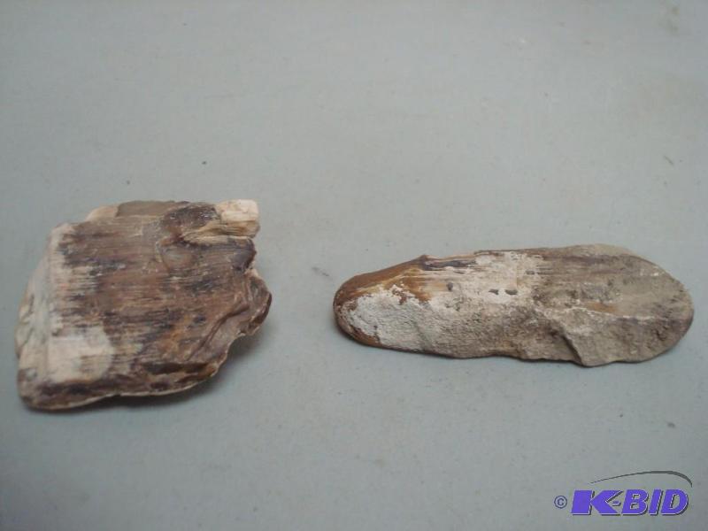 Pair Of Petrified Wood...