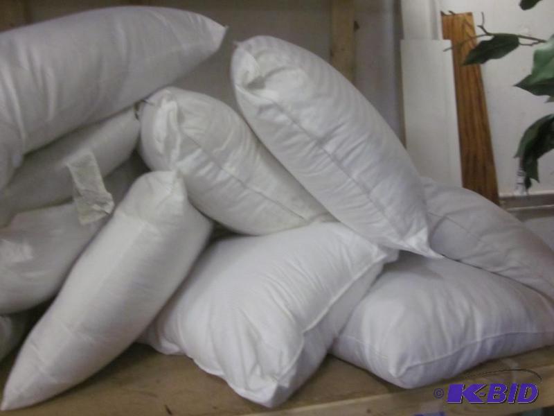Lot includes (4) pillows, You Chose - First C...