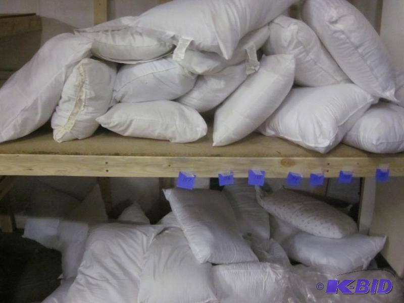 Lot includes (4) pillows, You Chose - First C...