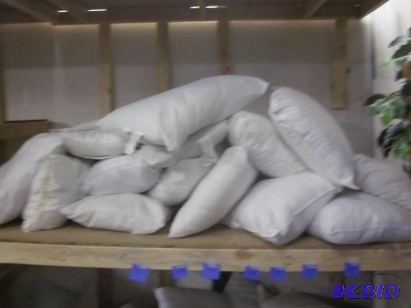Lot includes (4) pillows, You Chose - First C...