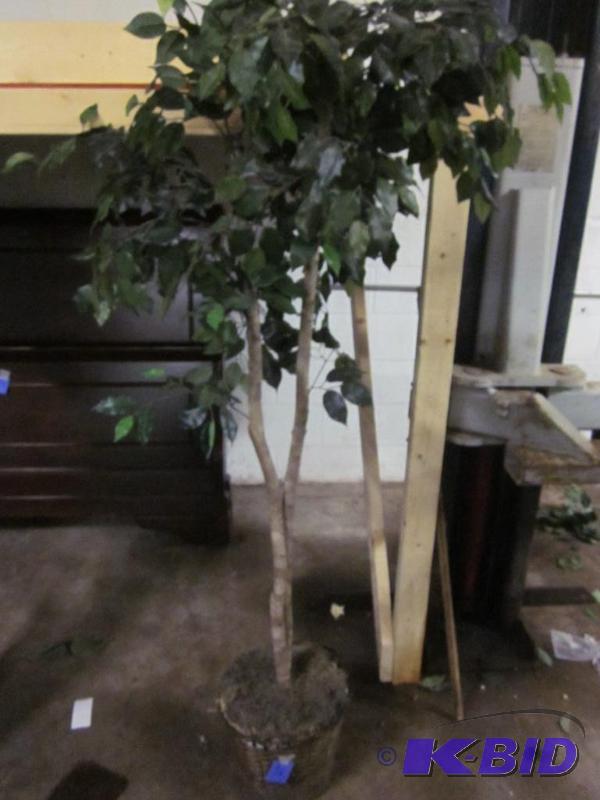 Artificial tree in basket.  &nbsp  &nbsp...