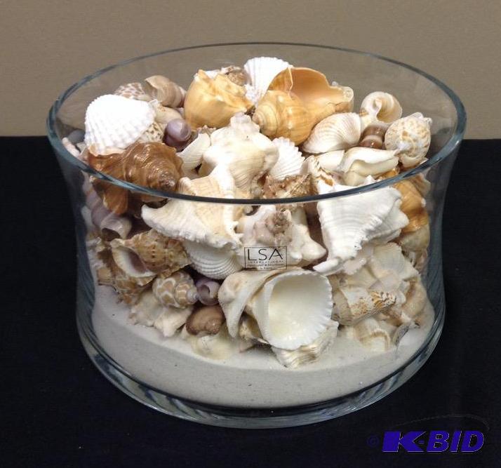 lot 73 image: Poland Glass Bowl with Sea Shells