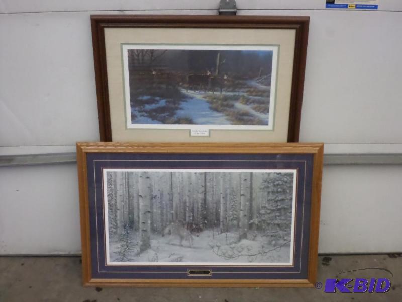 (2) Framed Wildlife Pictures----See Pictures ...