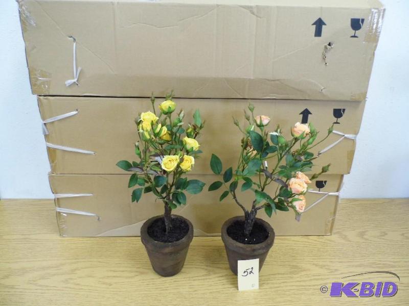 6 New Rose Pots