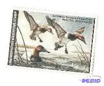 Migratory Waterfowl Stamp Unused 1979