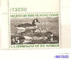 Migratory Waterfowl Stamp  Unused 1976